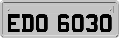 EDO6030