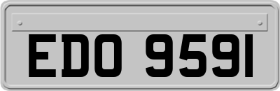EDO9591