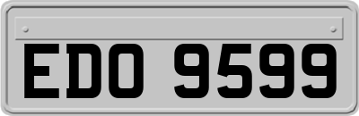 EDO9599