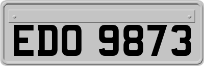 EDO9873