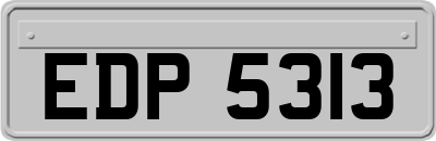 EDP5313