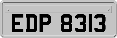 EDP8313