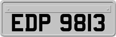 EDP9813