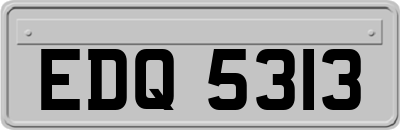 EDQ5313