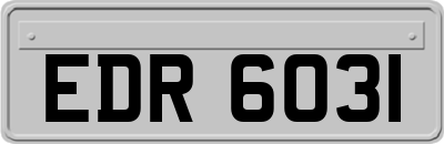 EDR6031