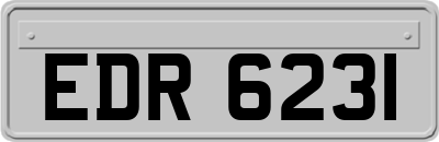 EDR6231