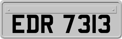 EDR7313