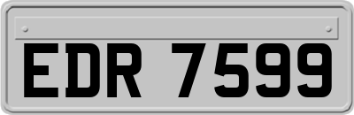 EDR7599