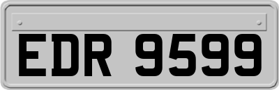 EDR9599