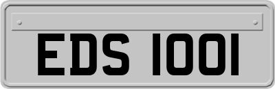 EDS1001