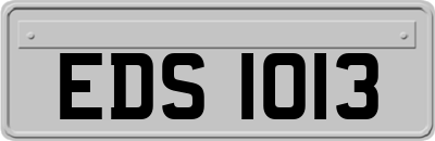 EDS1013