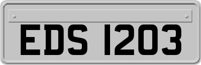 EDS1203