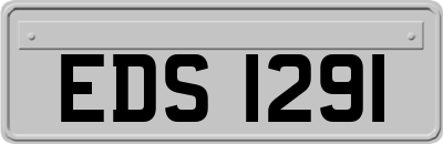 EDS1291