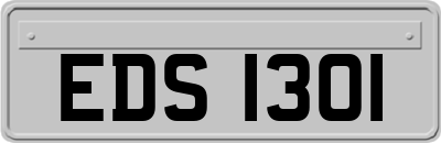 EDS1301