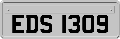 EDS1309