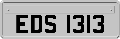 EDS1313