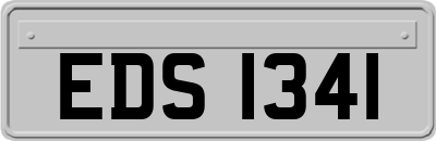 EDS1341