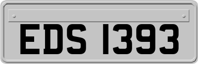 EDS1393