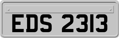 EDS2313
