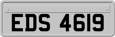 EDS4619