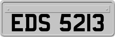EDS5213