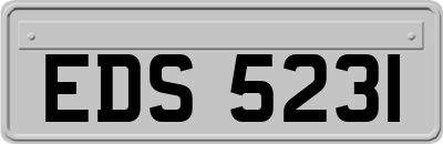 EDS5231