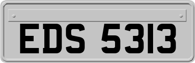 EDS5313