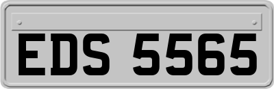 EDS5565