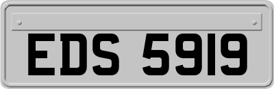 EDS5919