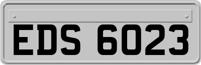 EDS6023