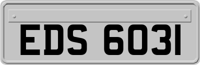 EDS6031