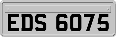 EDS6075
