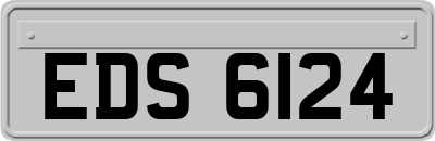 EDS6124
