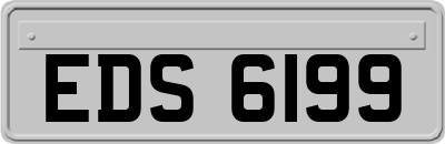 EDS6199