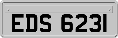 EDS6231