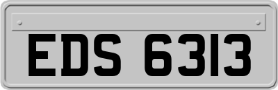 EDS6313