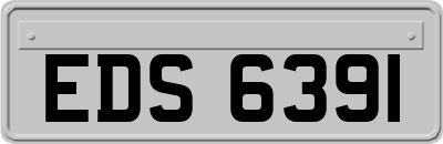 EDS6391