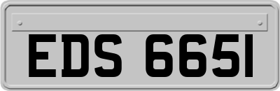 EDS6651