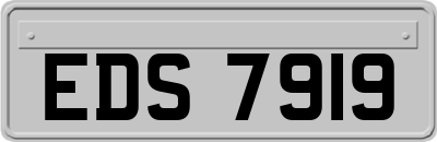 EDS7919