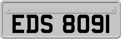 EDS8091