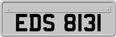 EDS8131
