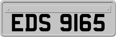 EDS9165