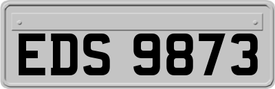EDS9873