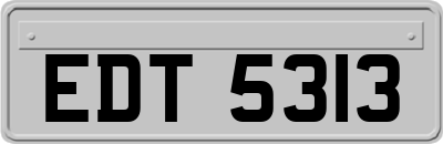 EDT5313