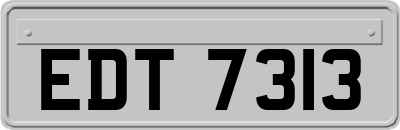 EDT7313