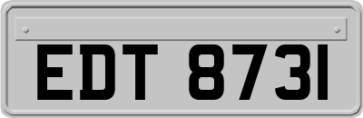 EDT8731