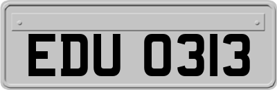 EDU0313