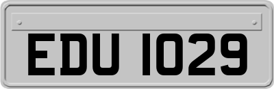 EDU1029