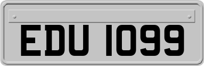 EDU1099