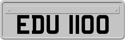 EDU1100